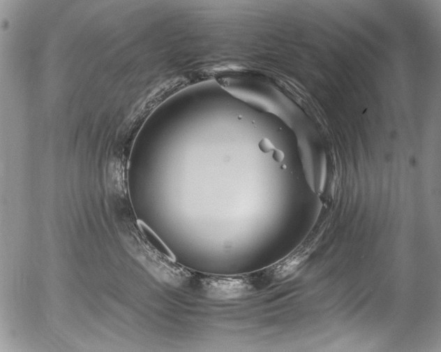 X0000054450669200507291318
