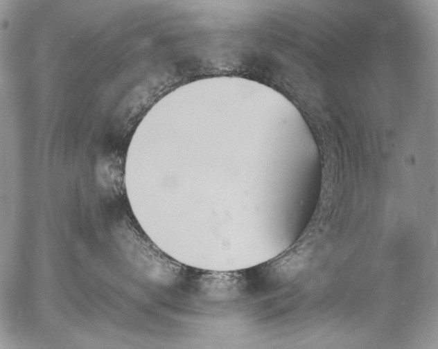 X0000054450672200507291318