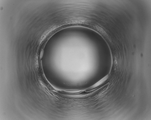 X0000054450676200507291317