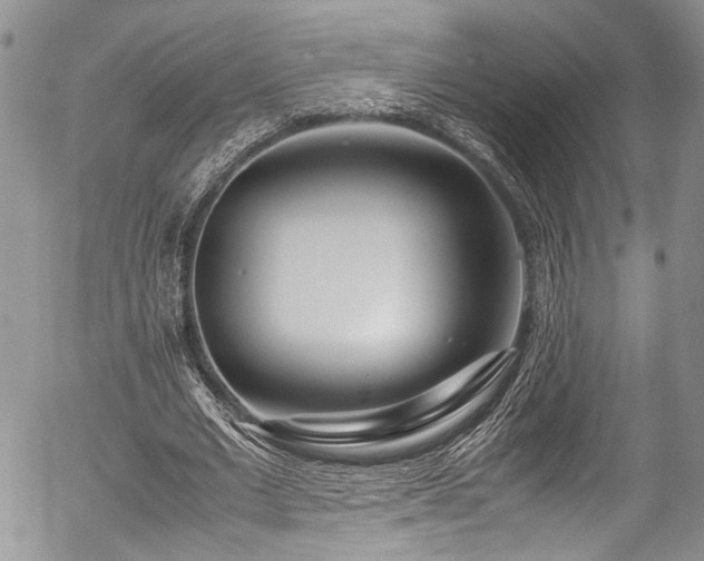 X0000054450677200507291317