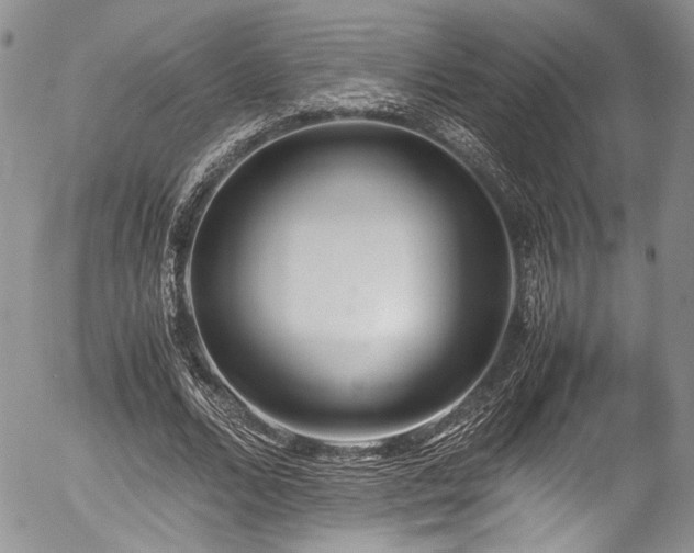 X0000054450680200507291317