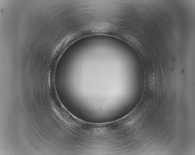 X0000054450686200507291317