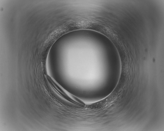 X0000054450689200507291317