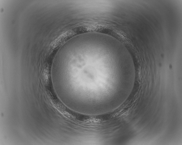 X0000054450691200507291317