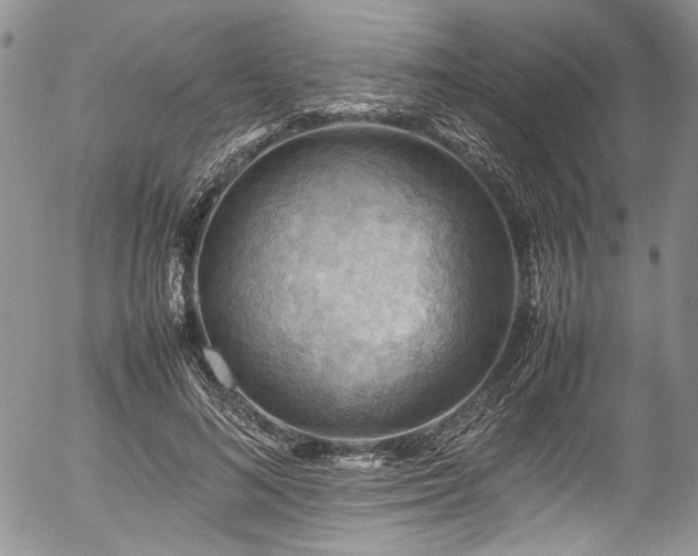 X0000054450692200507291317