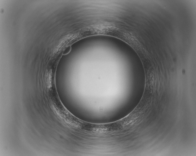X0000054450694200507291317