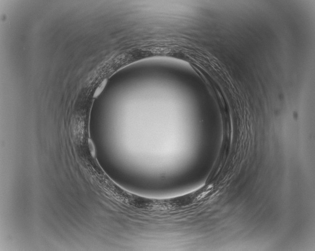 X0000054450697200507291317