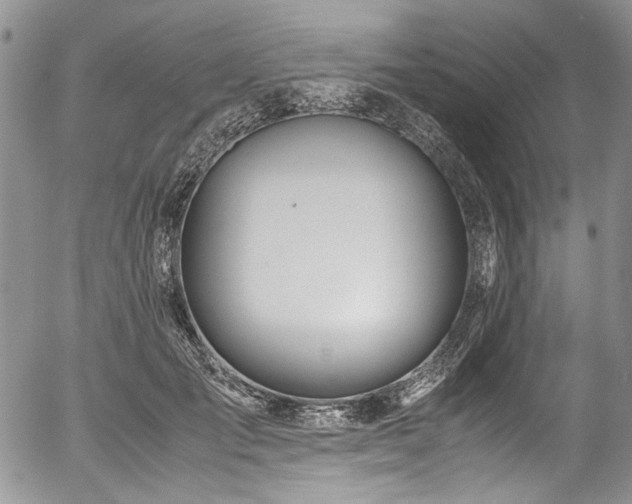 X0000054450701200507291317