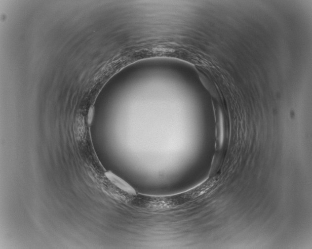X0000054450704200507291317