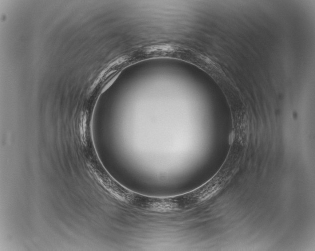 X0000054450708200507291317
