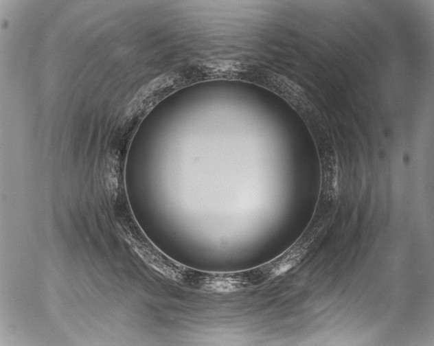 X0000054450710200507291317
