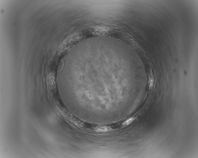 X0000054450711200507291317