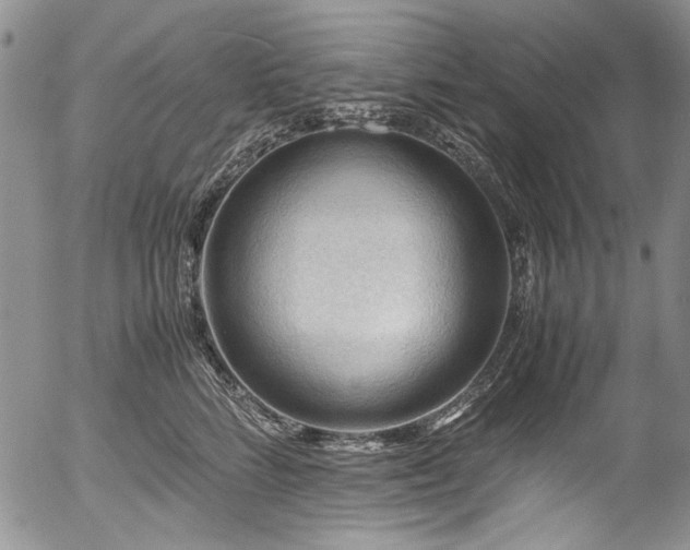 X0000054450712200507291317