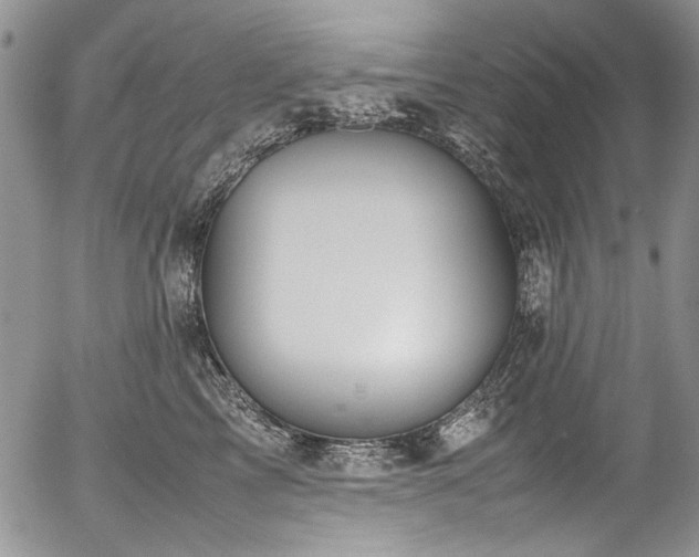 X0000054450713200507291317