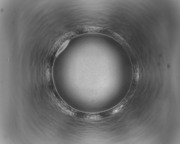X0000054450716200507291316