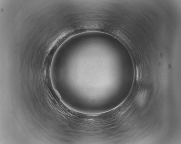 X0000054450723200507291316