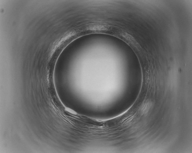 X0000054450727200507291316