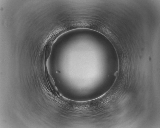 X0000054450731200507291316