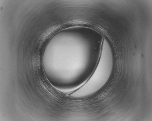 X0000054450732200507291316