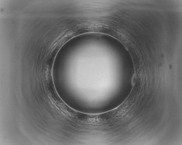 X0000054450744200507291316