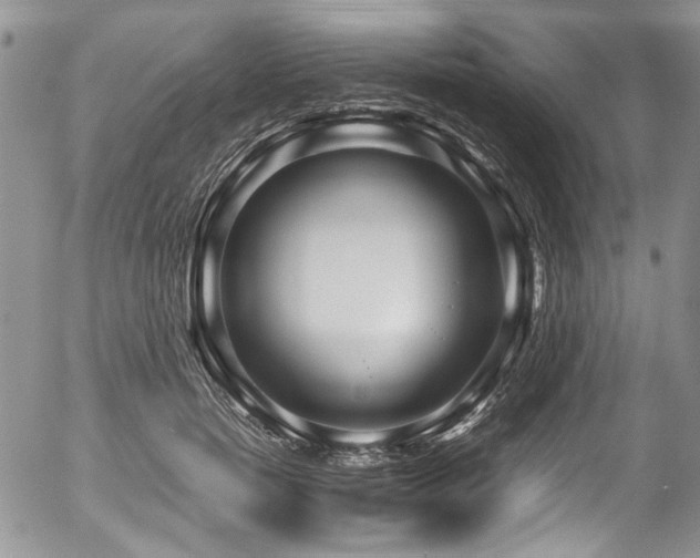 X0000054450750200507291316