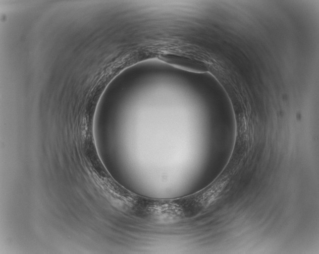 X0000054450752200507291316