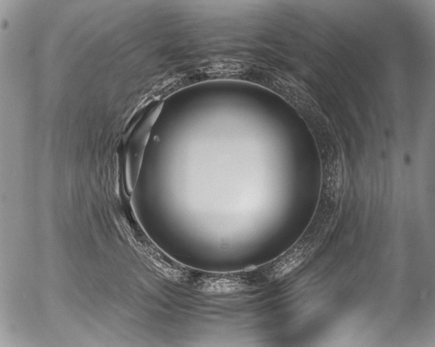 X0000054450755200507291316