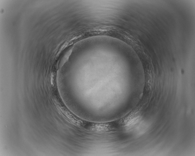 X0000054450758200507291316