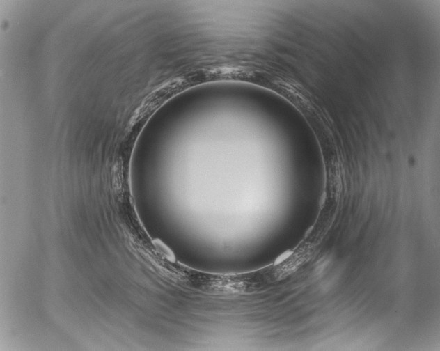 X0000054450760200507291316