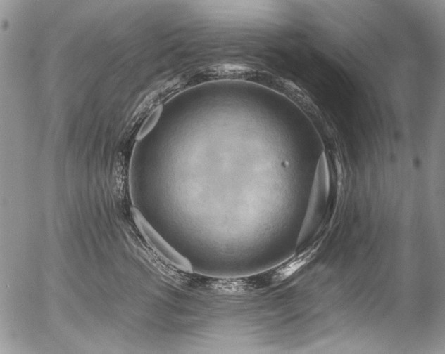 X0000054450762200507291316