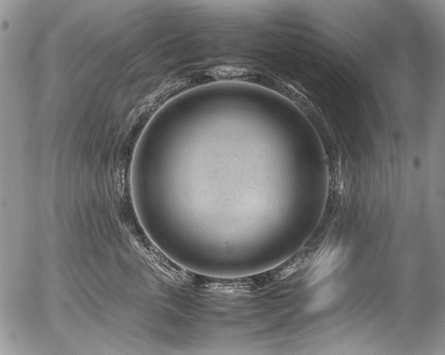 X0000054450763200507291316