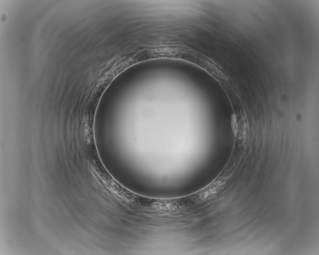 X0000054450764200507291316