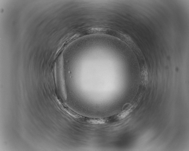 X0000054450765200507291316