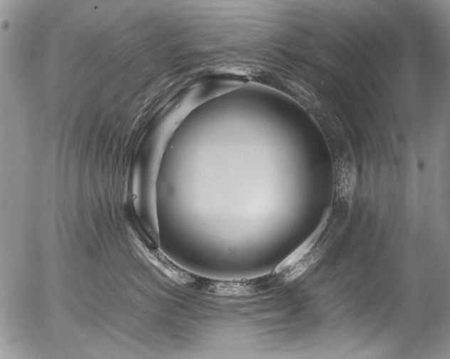 X0000054450766200507291316