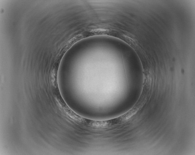X0000054450767200507291316