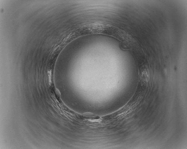X0000054450772200507291316