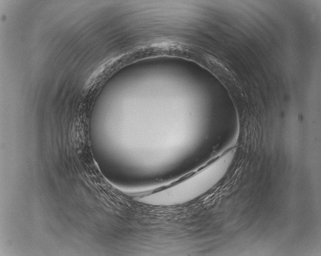 X0000054450776200507291316