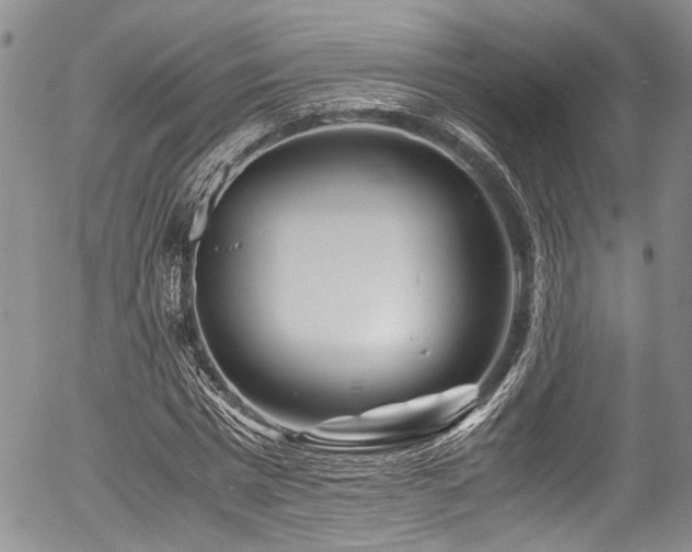 X0000054450777200507291315