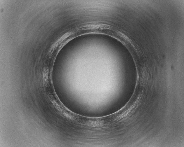 X0000054450778200507291315