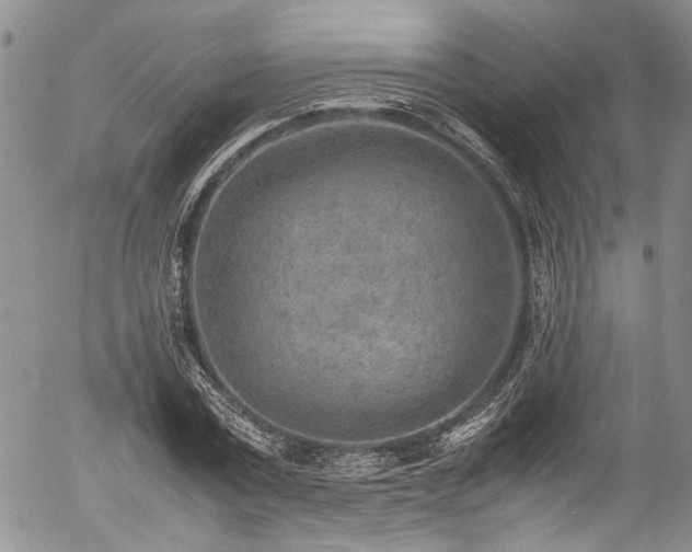 X0000054450779200507291315
