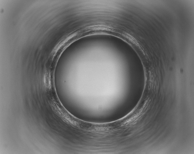 X0000054450782200507291315