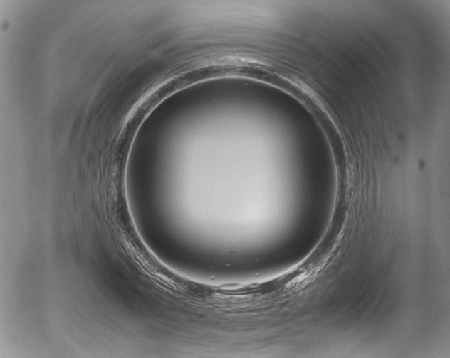 X0000054450783200507291315