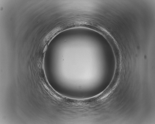 X0000054450785200507291315