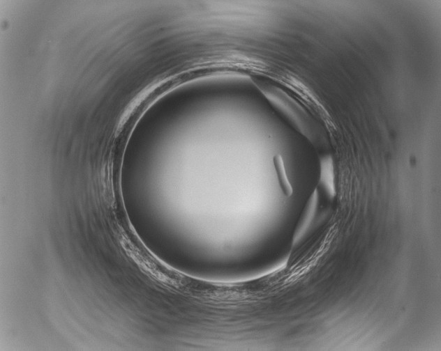 X0000054450788200507291315