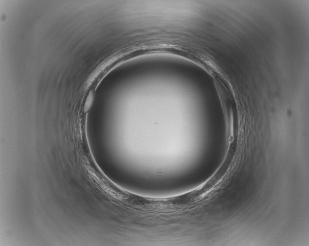 X0000054450789200507291315