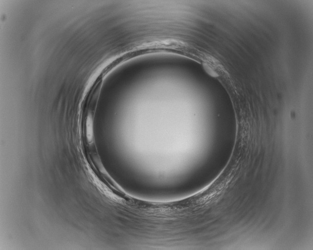 X0000054450792200507291315