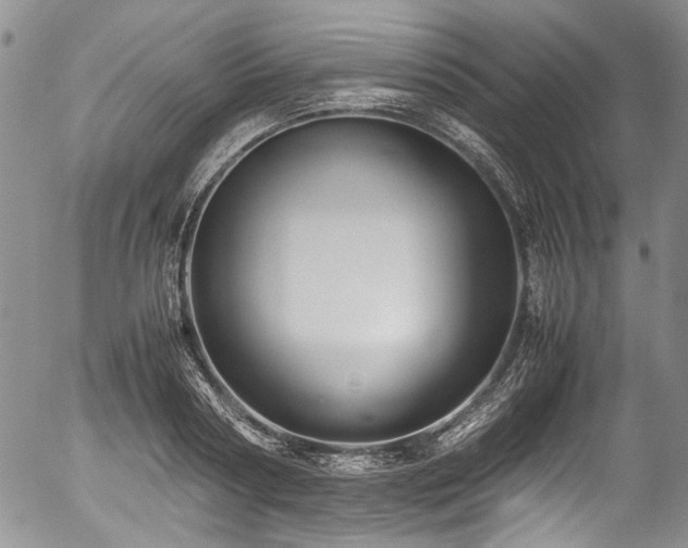 X0000054450794200507291315