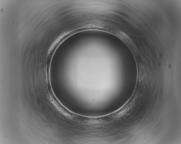 X0000054450796200507291315