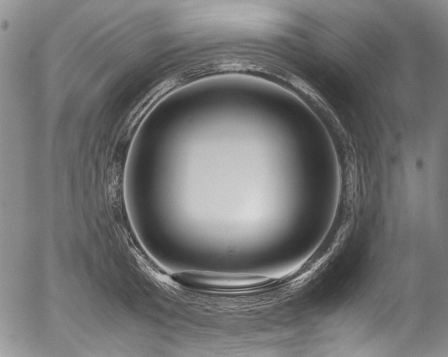 X0000054450801200507291315