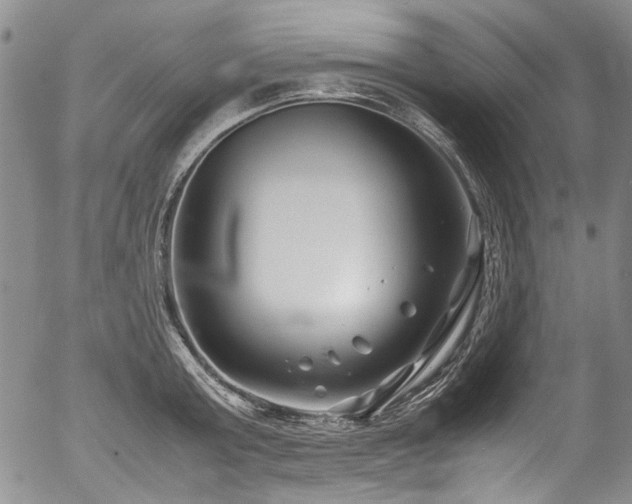 X0000054450803200507291315